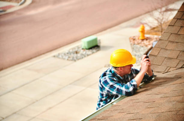 Best Roof Moss and Algae Removal  in Colorado City, TX